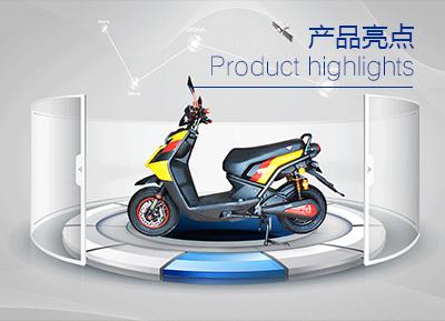 特莱维狮电动车